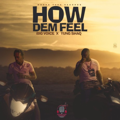 How Dem Feel (feat. Big Voice) | Boomplay Music