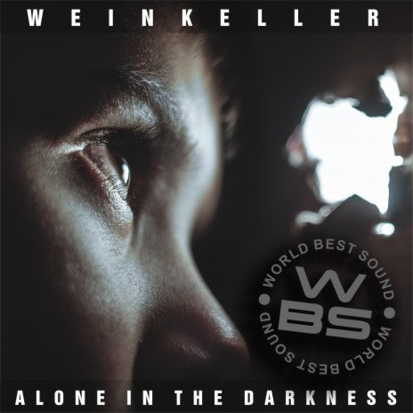 Alone In The Darkness (Cut Edit) ft. Weinkeller | Boomplay Music