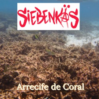 Arrecife de Coral