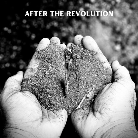 After the Revolution | Boomplay Music