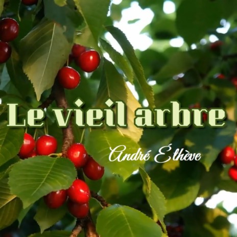 Le vieil arbre | Boomplay Music