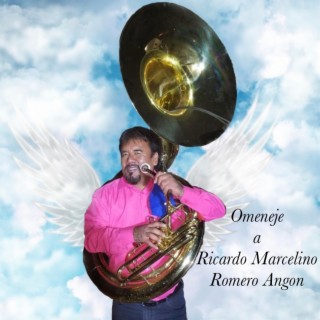 Omeneje a Ricardo Romero Angon