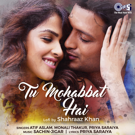 Tu Mohabbat Hai (Lofi Mix) ft. Monali Thakur & Priya Saraiya | Boomplay Music