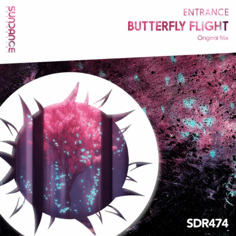 Butterfly Flight | Boomplay Music