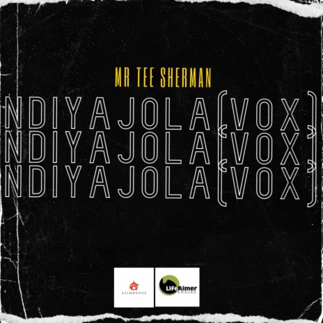 Ndiyajola (Vox Mix) | Boomplay Music