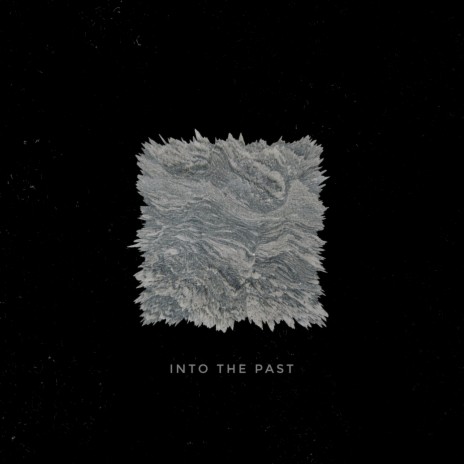 Into the Past ft. Paolo Bergamo | Boomplay Music