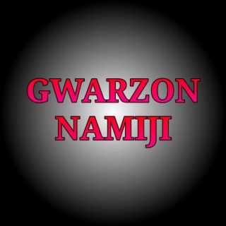 Gwarzon Namiji lyrics | Boomplay Music