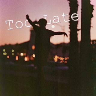 Too Late lyrics | Boomplay Music