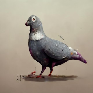 Pigeon