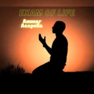 Exam Of Life lyrics | Boomplay Music