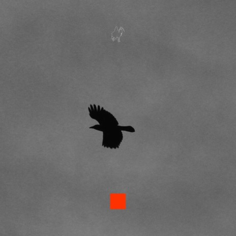 Crows | Boomplay Music