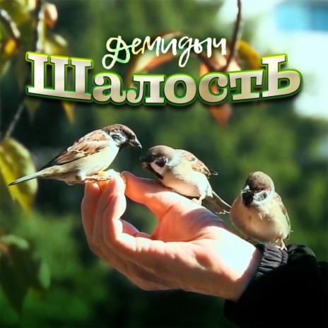 Шалость