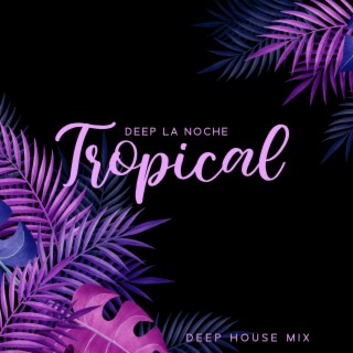 Deep La Noche: Tropical Deep House Mix, Summer Bounce in Paradise, Sexy Chillout Vibes