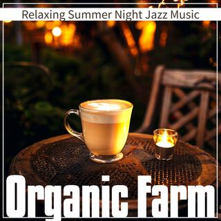 Relaxing Summer Night Jazz Music