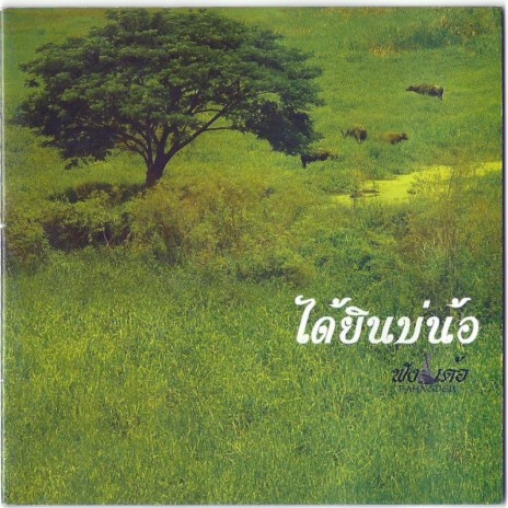 เชิญมานมัสการ | Boomplay Music