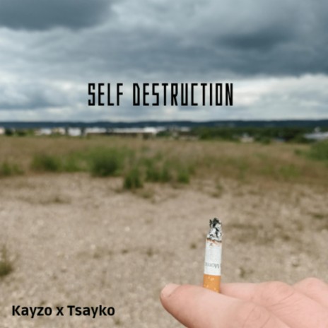 SELF DESTRUCTION ft. Tsayko | Boomplay Music