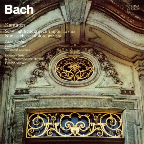 Non sa che sia dolore, BWV 209: Arie: Parti pur e con dolore ft. Werner Tast, Kammerorchester Berlin, Peter Schreier & Berliner Solisten | Boomplay Music