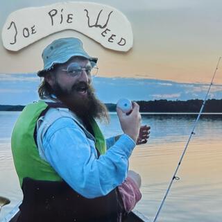 Joe Pie Weed