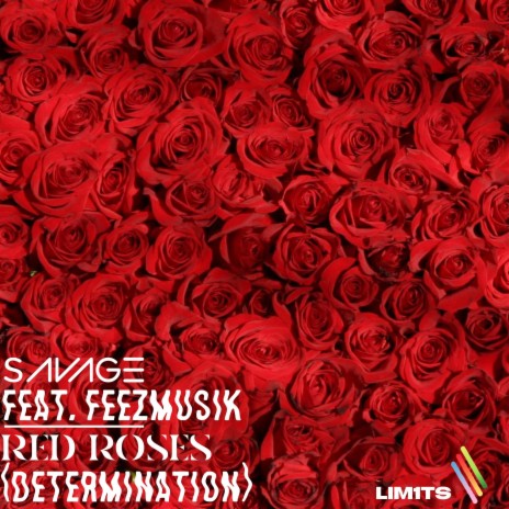 Red Roses (Determination) ft. FeezMusik | Boomplay Music