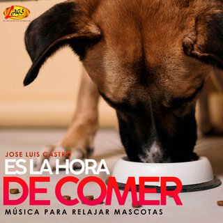 Es La Hora De Comer (Música Para Relajar Mascotas)