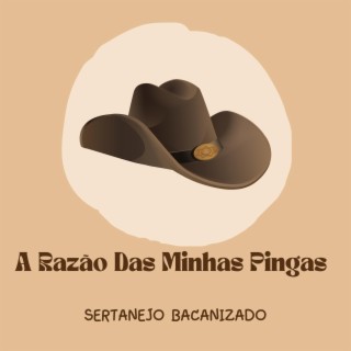 A Razão Das Minhas Pingas