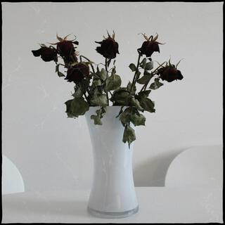 dead flowers lyrics | Boomplay Music