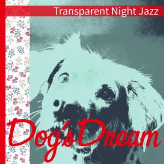 Transparent Night Jazz