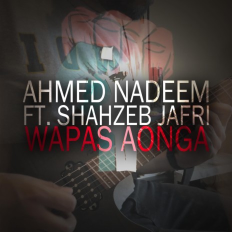 Wapas Aonga (feat. Shahzeb Jafri) | Boomplay Music