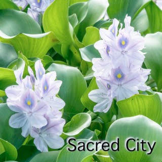 Sacred City