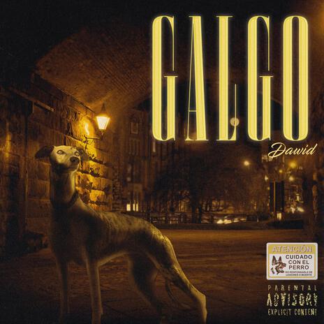 GALGO | Boomplay Music