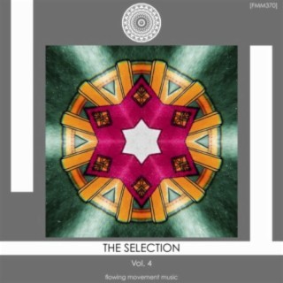 The Selection, Vol. 4