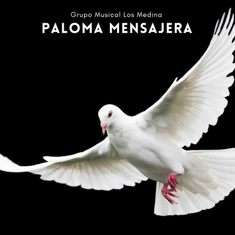 Paloma Mensajera | Boomplay Music