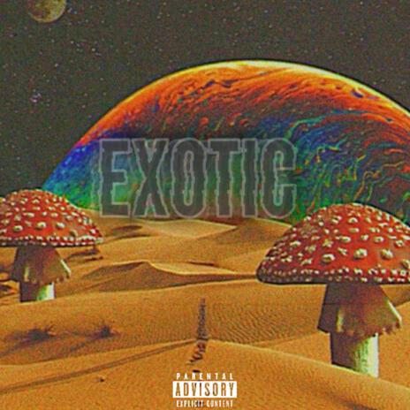 Exotic ft. Kel Vo | Boomplay Music