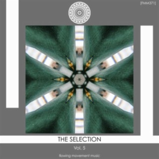 The Selection, Vol. 5