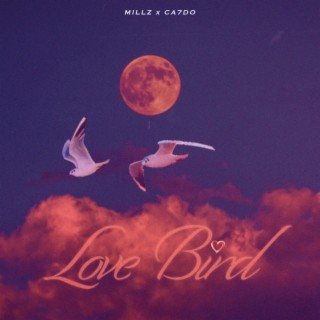 Love Bird (feat. CA7DO)
