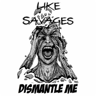 Dismantle Me