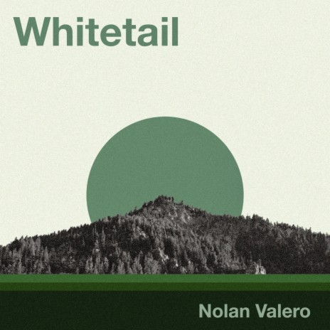 Whitetail | Boomplay Music