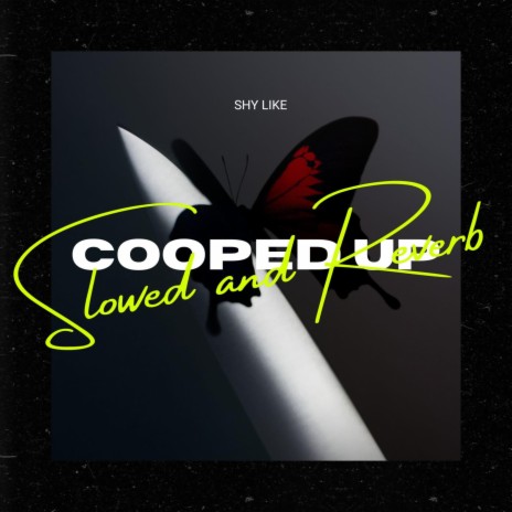Cooped Up (but you're in the bathroom at a party) | Boomplay Music