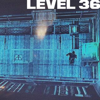 Level 36