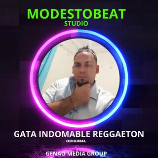 Gata Indomable Reggaeton Mix