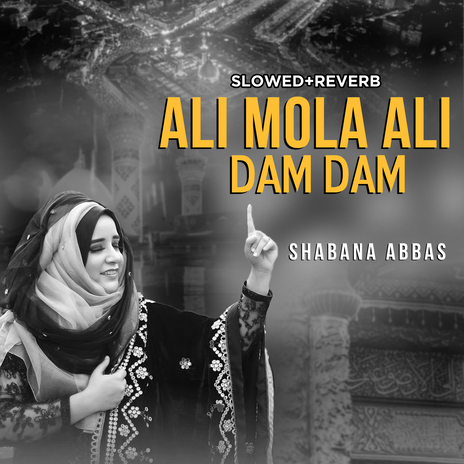 Ali Mola Ali Dam Dam (Lofi-Mix)