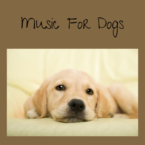 Ruff Rhythms ft. Music For Dogs Peace, Relaxing Puppy Music & Calm Pets Music Academy | Boomplay Music