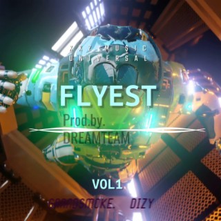 FLYEST (demo)