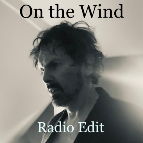 On the Wind (Radio Edit)