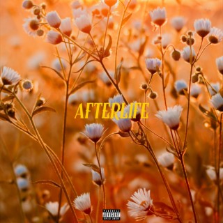 Afterlife lyrics | Boomplay Music