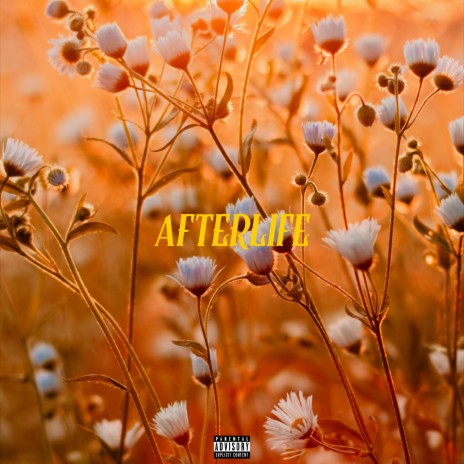 Afterlife | Boomplay Music