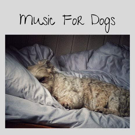 Ambient Music for Puppies ft. Music For Dogs Peace, Relaxing Puppy Music & Calm Pets Music Academy | Boomplay Music