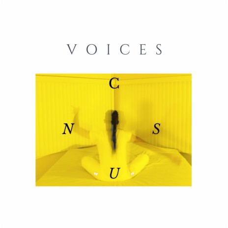 VOICES (INSTRUMENTAL) | Boomplay Music
