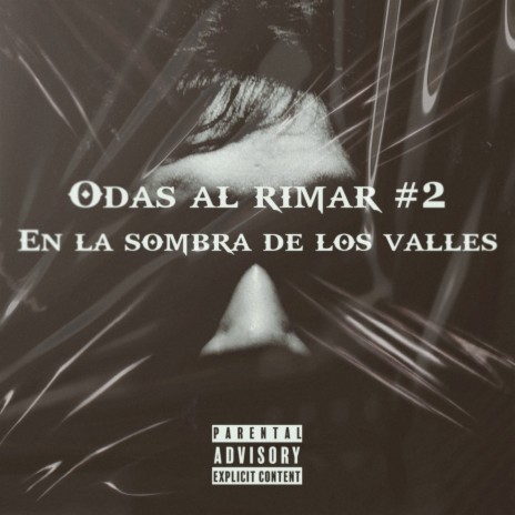 Odas al Rimar #2: En La Sombra de los Valles | Boomplay Music