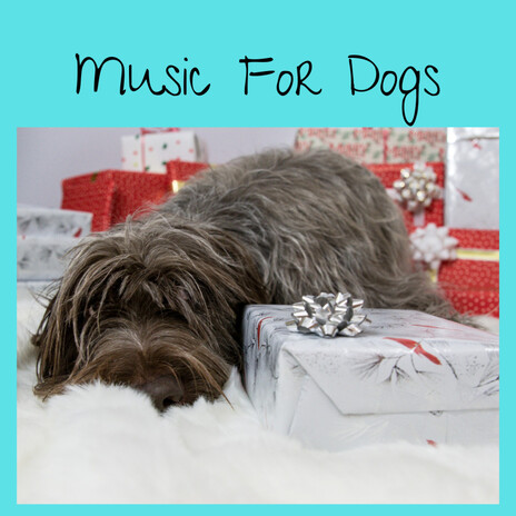 Classical Music For Dogs ft. Music For Dogs Peace, Relaxing Puppy Music & Calm Pets Music Academy | Boomplay Music